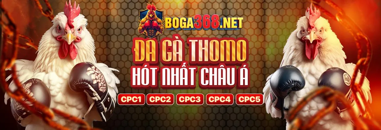 Sân đấu đá gà trực tuyến sôi động tại da ga.com