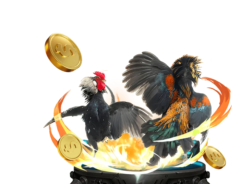 Phản hồi tích cực